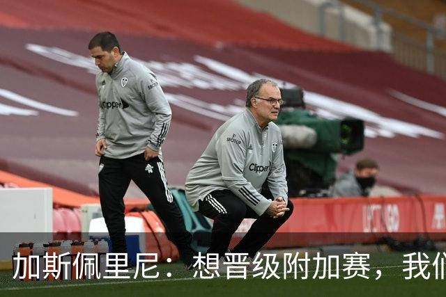 加斯佩里尼：想晋级附加赛，我们得在主场大干一场！