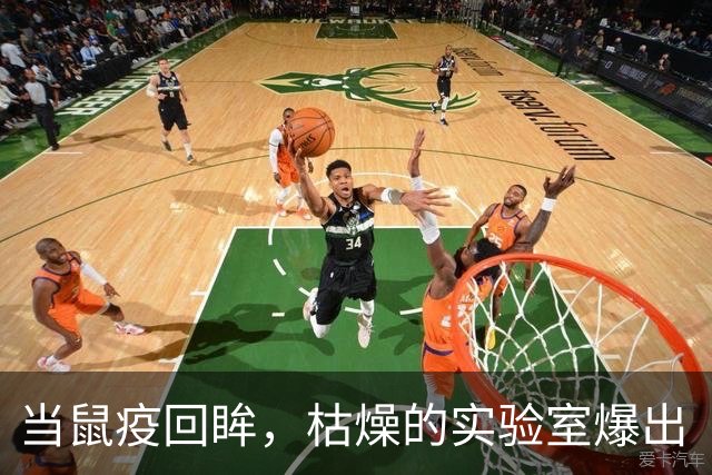当鼠疫回眸，枯燥的实验室爆出“意外”！